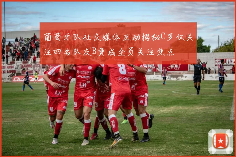 葡萄牙队社交媒体互动揭秘C罗仅关注四名队友B费成全员关注焦点