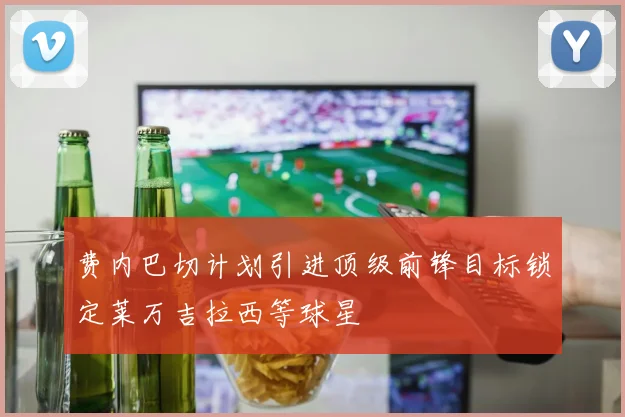 费内巴切计划引进顶级前锋目标锁定莱万吉拉西等球星