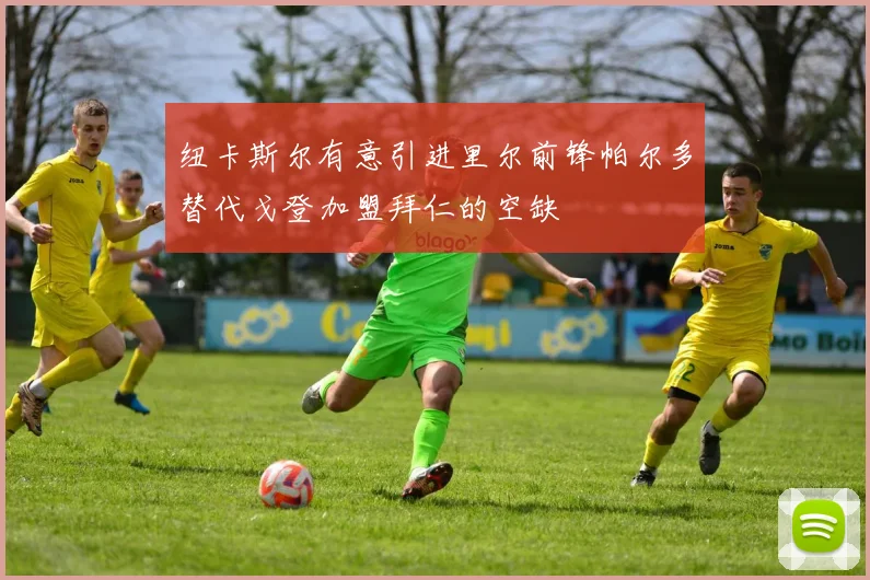 纽卡斯尔有意引进里尔前锋帕尔多替代戈登加盟拜仁的空缺